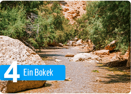1Bokek-River