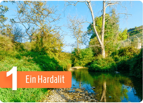 1Ein-Hardalit