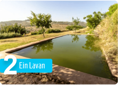 Ein-Lavan