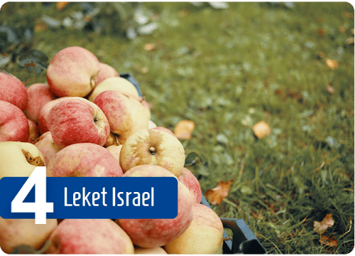 Leket-Israel