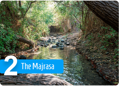 The-Majrasa
